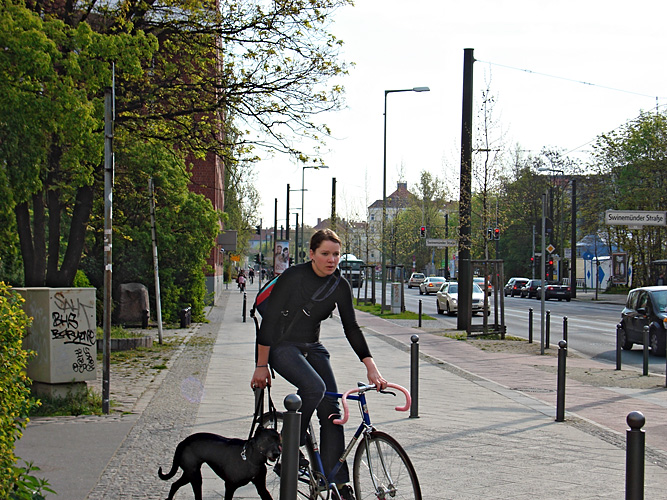 Frauchen, Hund und Rennrad, Bernauer Straße Kopie